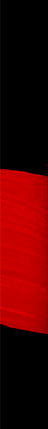 izquierdo